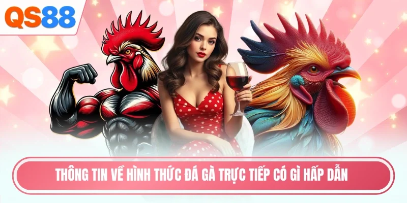 Thông tin về hình thức đá gà trực tiếp có gì hấp dẫn